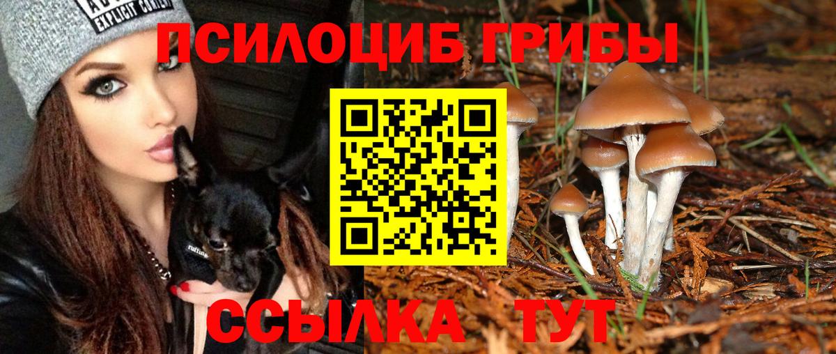 Лесосибирск  Псилоцибиновые грибы прущие грибы  Вход с VPN 