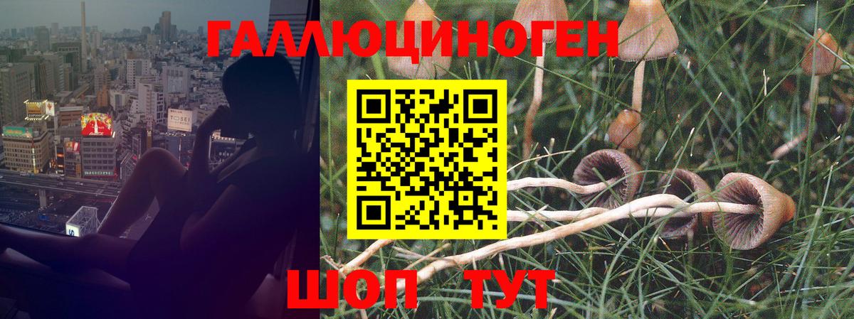 МДМА  КЕТАМИН  COCAIN  Мефедрон кристаллы  Вход с VPN  Лесосибирск  ГАШИШ  Каннабис  НБОМе 